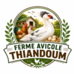 Ferme Avicole Thiandoum