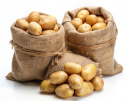 Pomme de terre 